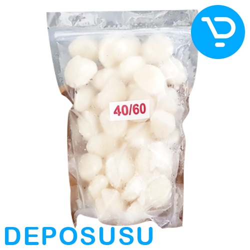 

SCALLOP 40-60 / 60-80 500gr (Fresh Frozen Food)