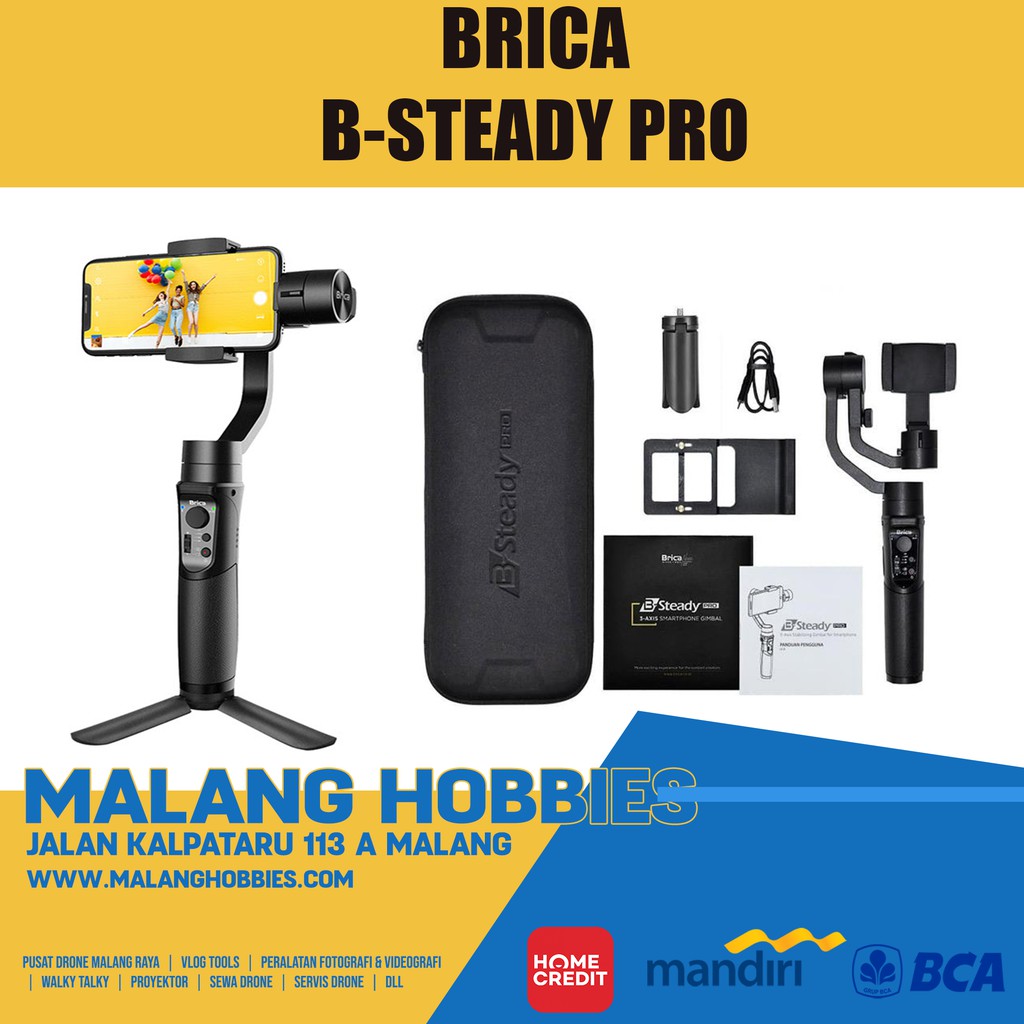 B-Steady Pro Brica