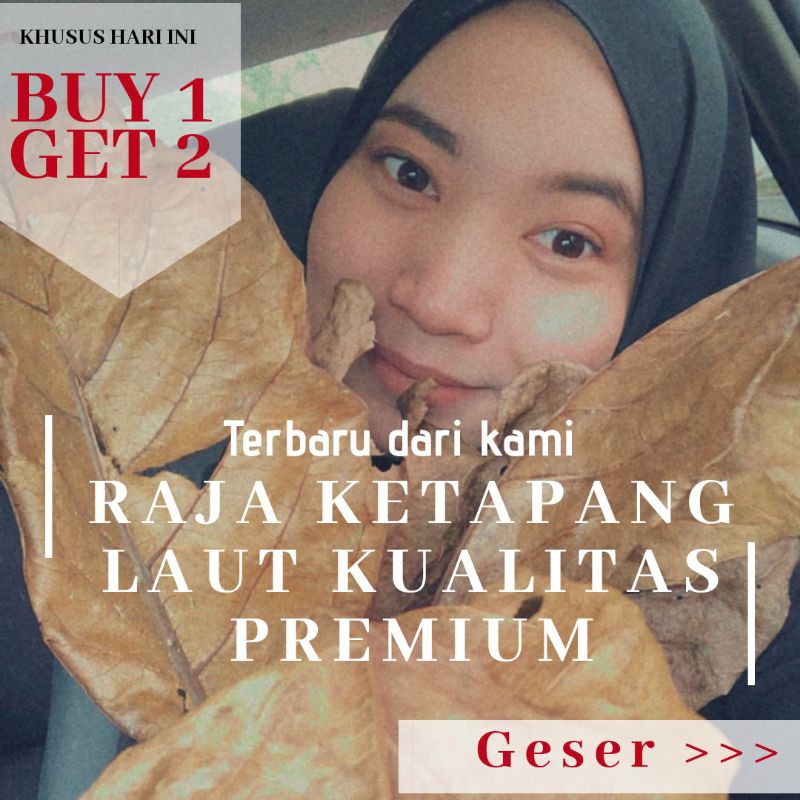

RAJA DAUN KETAPANG LAUT PREMIUM BUY 1 GET 2 MURAH BERKUALITAS IKAN JADI SEHAT DAN WARNAH PEKAD