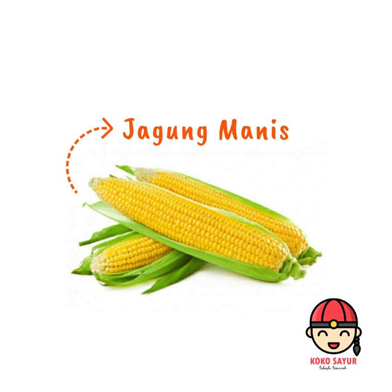 

[SAYUR EMAK] JAGUNG MANIS PER PCS / SAYUR SEGAR