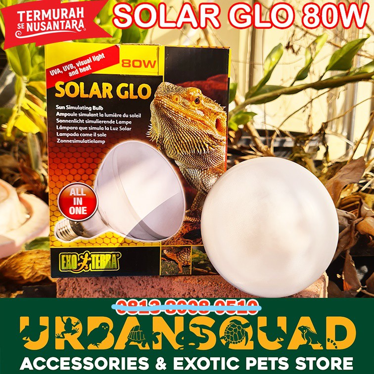 LAMPU EXOTERRA UVA+UVB SOLAR GLO 80W REPTILE TORTO SULCATA ALDABRA TERMURAH
