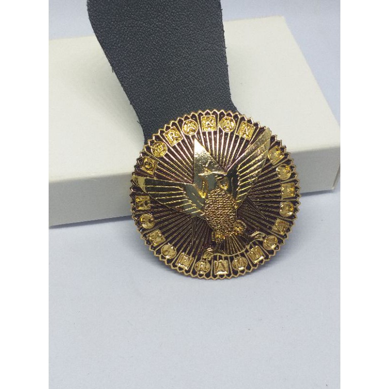 Tanjab pamong saka dirgantara