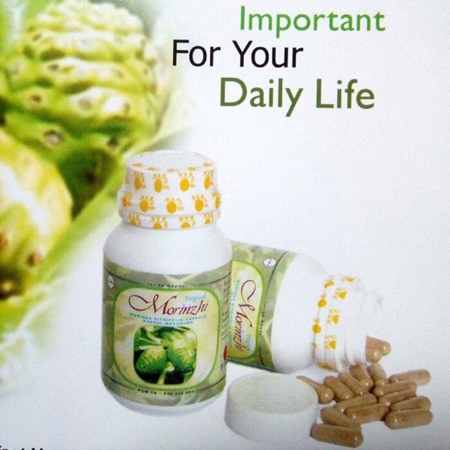 DXN MORINZHI KAPSUL [EXTRAK BUAH MENGKUDU]