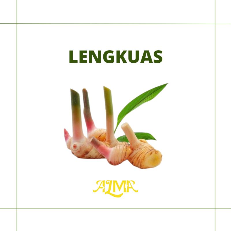 

Lengkuas / sayuran fresh