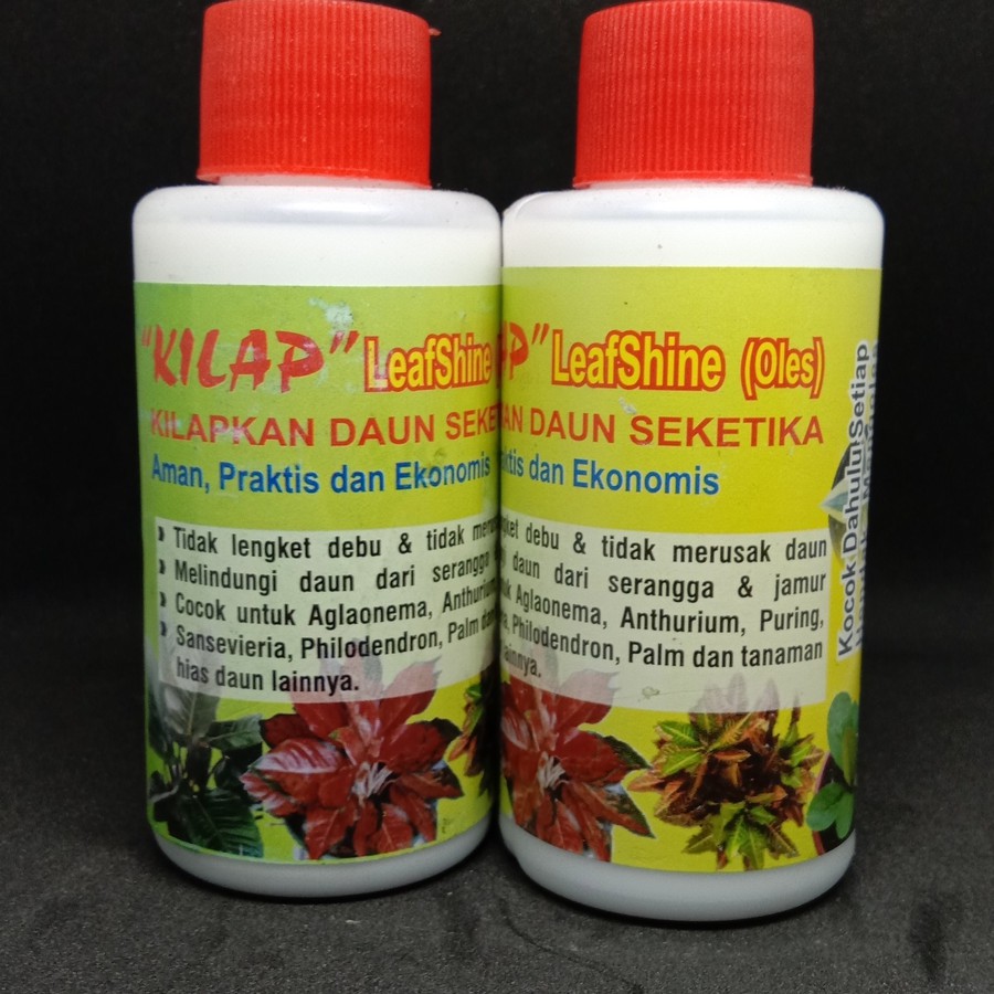 Pengkilap daun KILAP - leaf shine - kilap daun