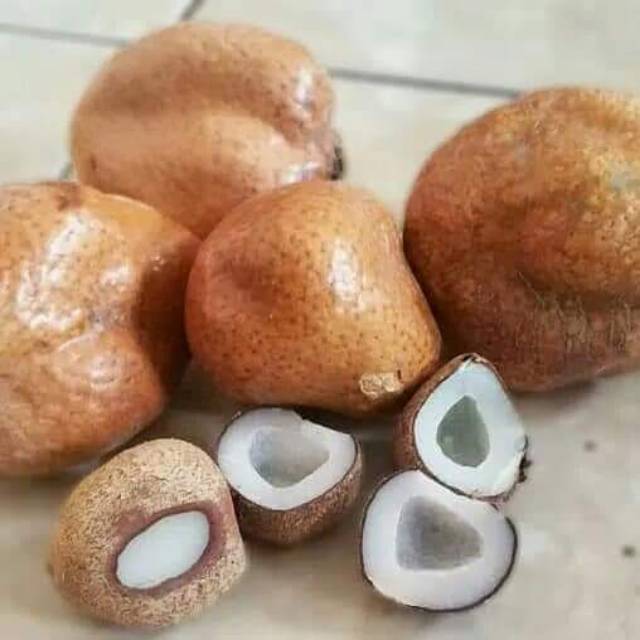 

500g Buah zuriat Original/ Buah keturunan harga grosir (zuriat utuh)