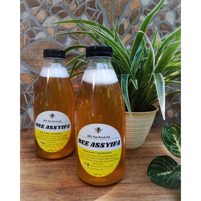 

MADU RANDU ASLI MURNI | MADU RANDU 500gr | MADU BEE ASSYIFA