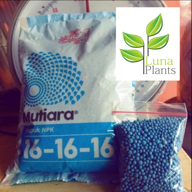 Media tanam pupuk npk - media tanam mpk