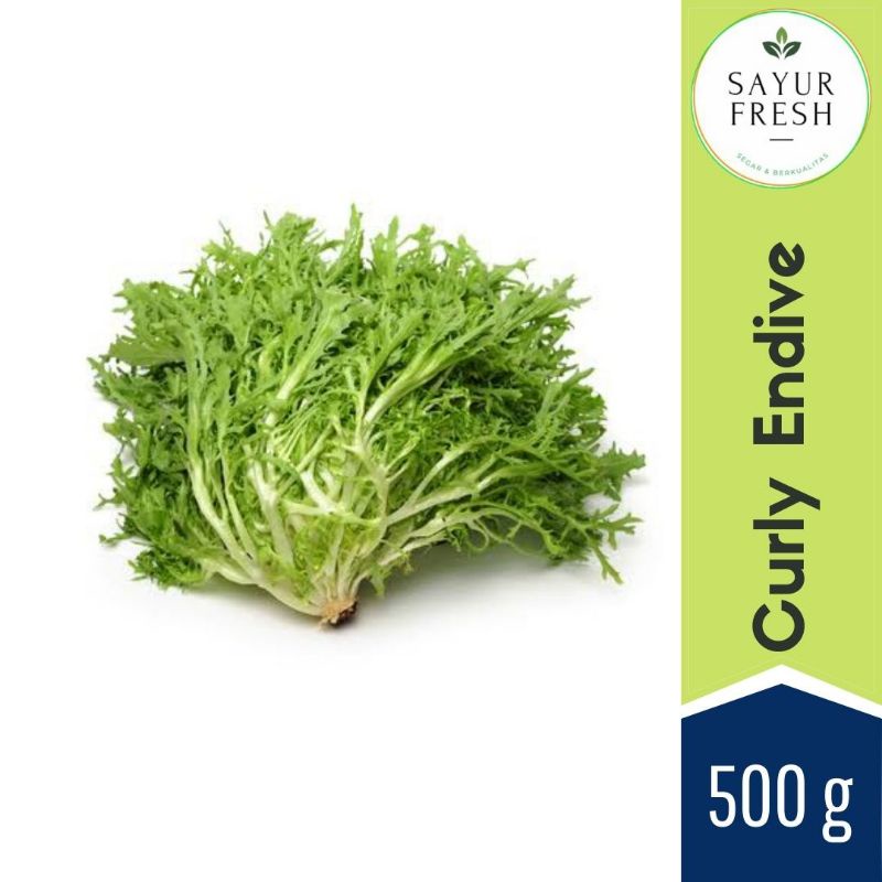 

Selada endive 500 g