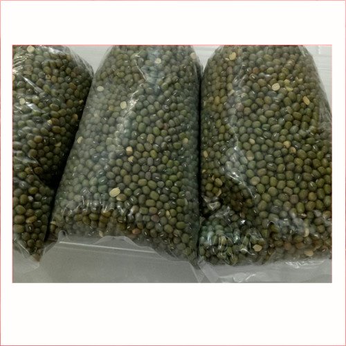 

Biji Kacang Hijau Bubur 250gr | Pasar Induk Pekanbaru #Harga_Grosir
