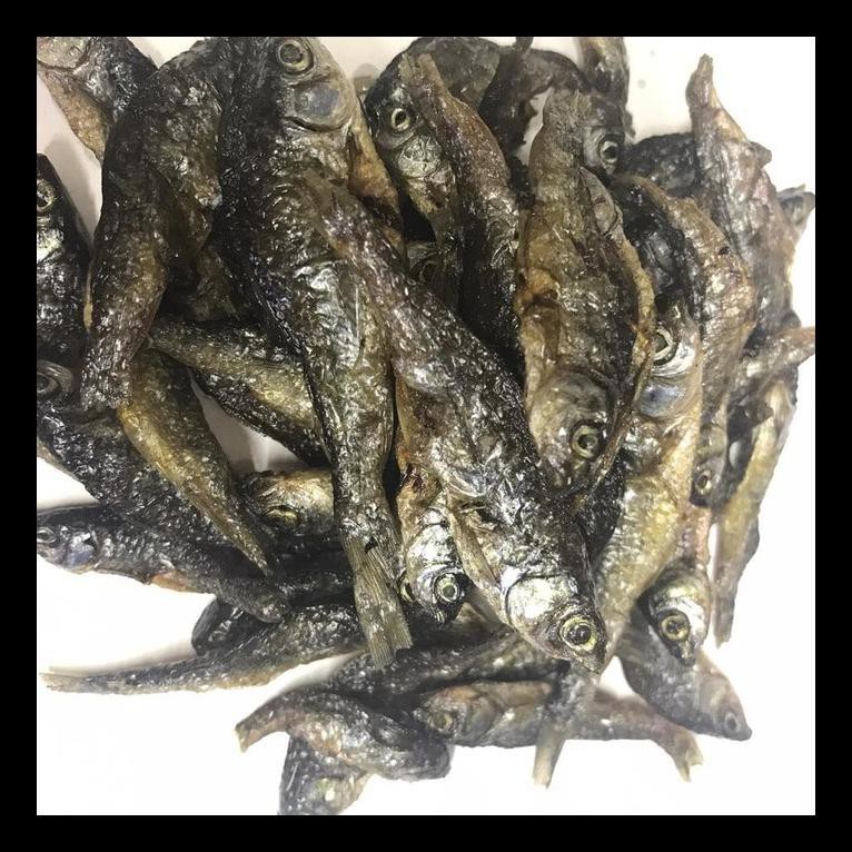 

STOK BARU! IKAN BILIH PADANG / BILIS SINGKARAK 500GR - SEDANG PALING MURAH