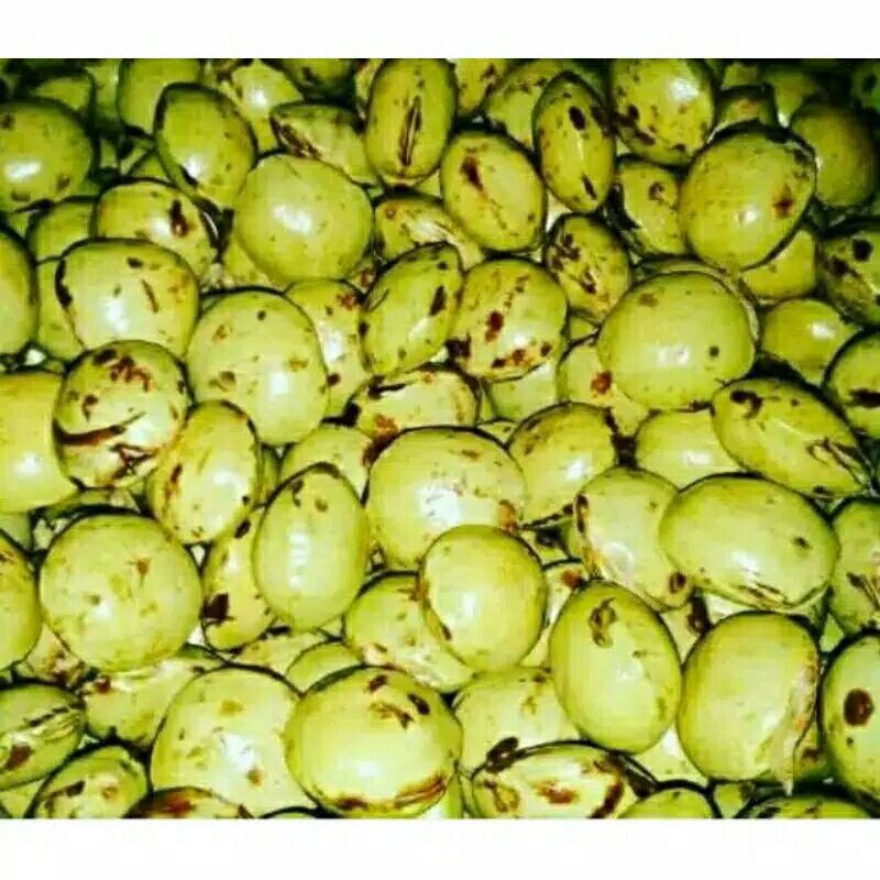 

jual jengkol lalap dan tua