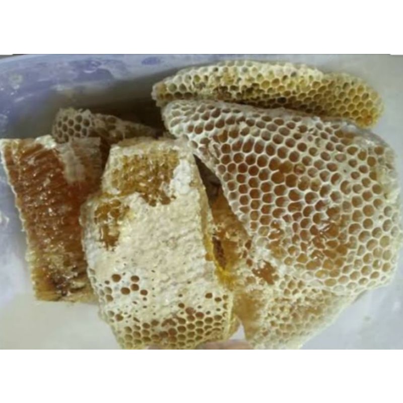 

madu odeng asli 460 ml atau satu botol marjan