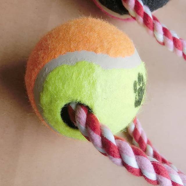 Mainan Anjing Cotton Chew Rope Toys