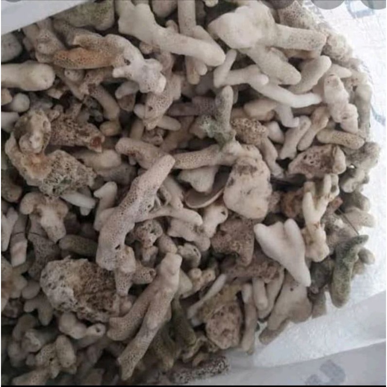 karang jahe media filter 1 kg