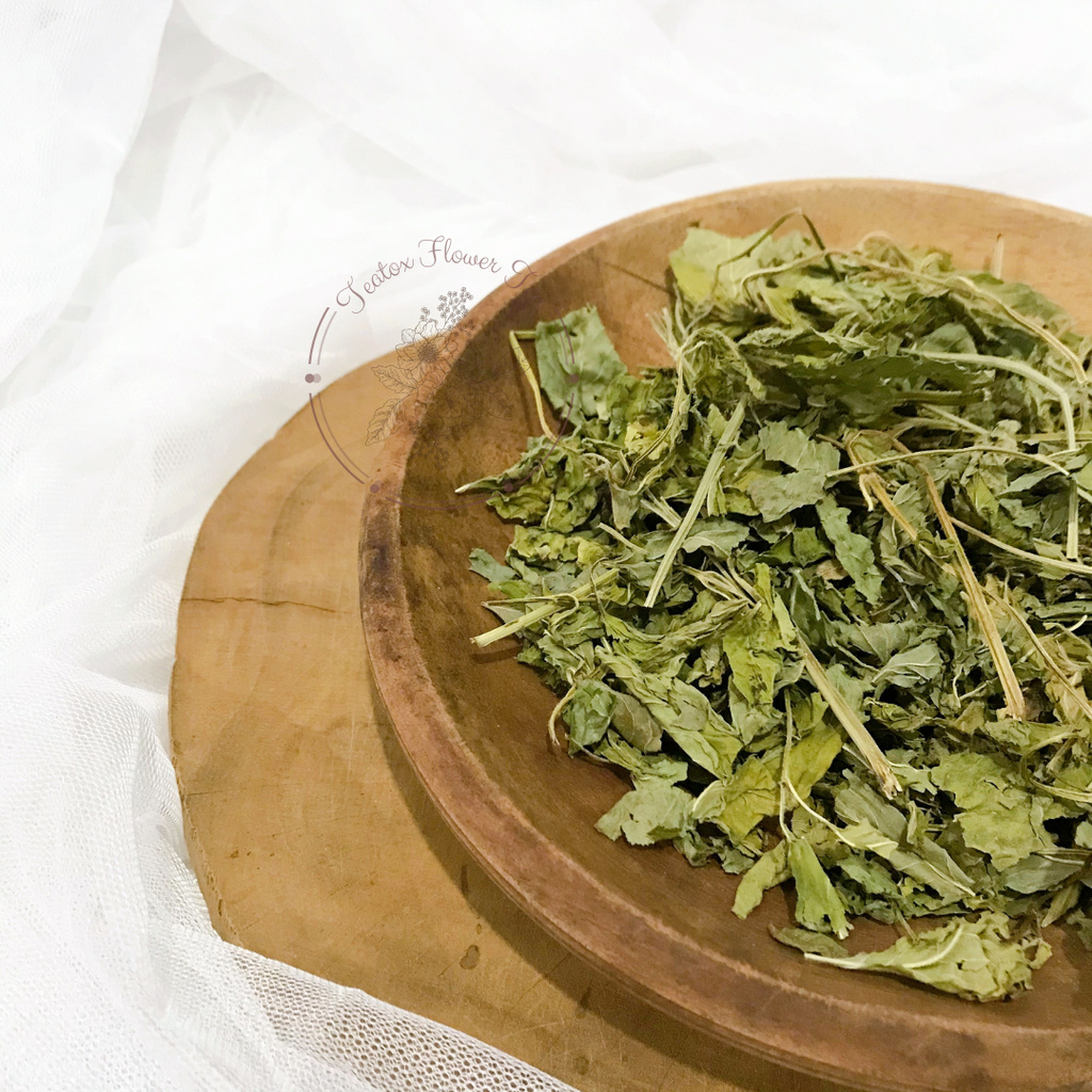 

TFT - Daun Peppermint/Peppermint Tea/Teh Peppermint/Teh Daun Mint/Teh Premium/Teh Bunga/Flower Tea