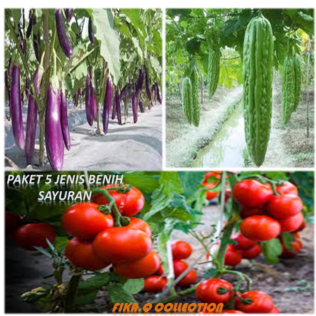 

paket 5 sayur segar, mentimun, terong ungu, pare, oyong dan tomat