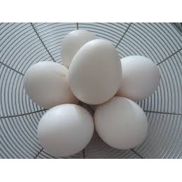 

telur ayam kampung isi 10