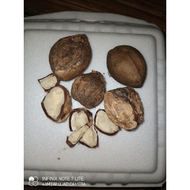 

buah kemiri kering 1kg