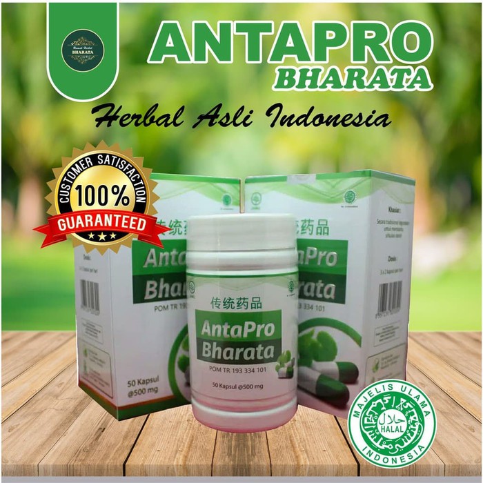 Obat Stroke Herbal Paling Ampuh Antapro Bharata 100% Produk Original