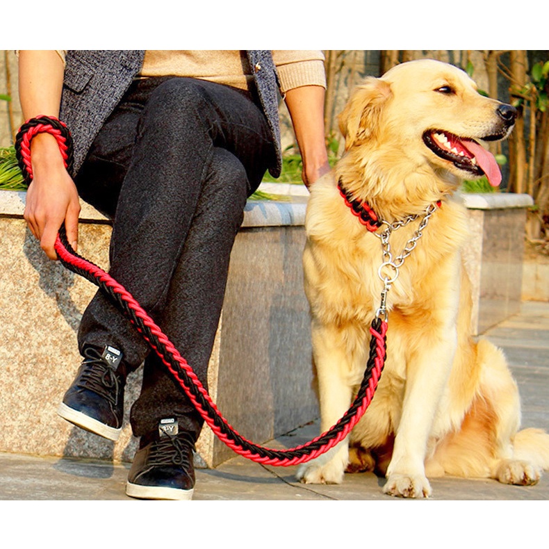 Tali Tuntun Anjing Besar Sedang Kecil Dog Leash Walking Rope Nylon Chain Pet Accessories