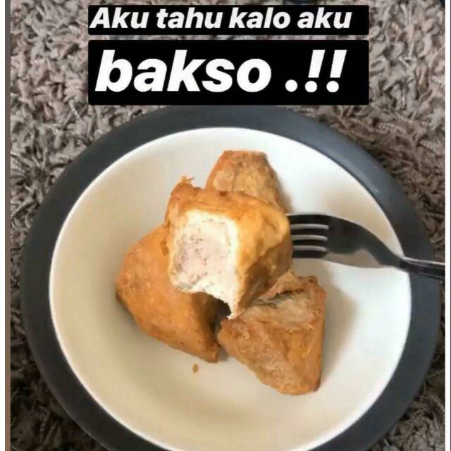 

Tahu Bakso Jumbo