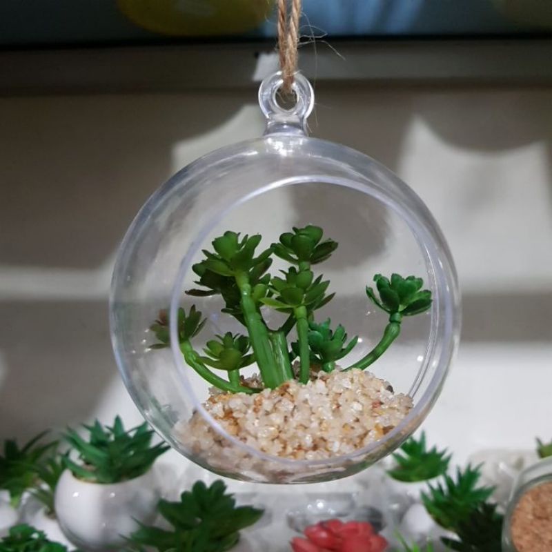 kaktus pot bulat / kaktus pot gantung / kaktus palsu / kaktus murah / skulen murah / skulen palsu