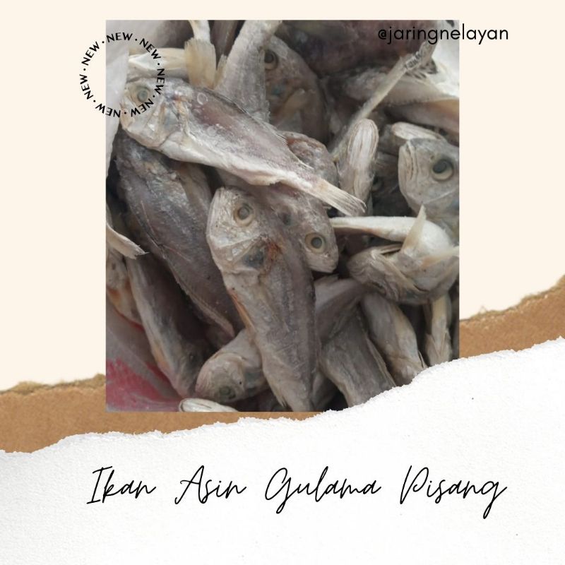 

IKAN ASIN GULAMA PISANG 250 GRAM