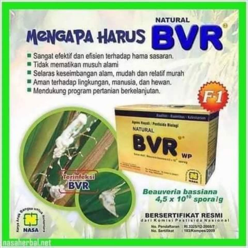 Pestisida Organik BVR Beauveria Bassiana Nasa 100 Gr