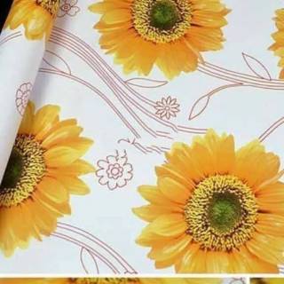 Download 600 Koleksi Background Untuk Bunga Matahari Gratis Terbaru