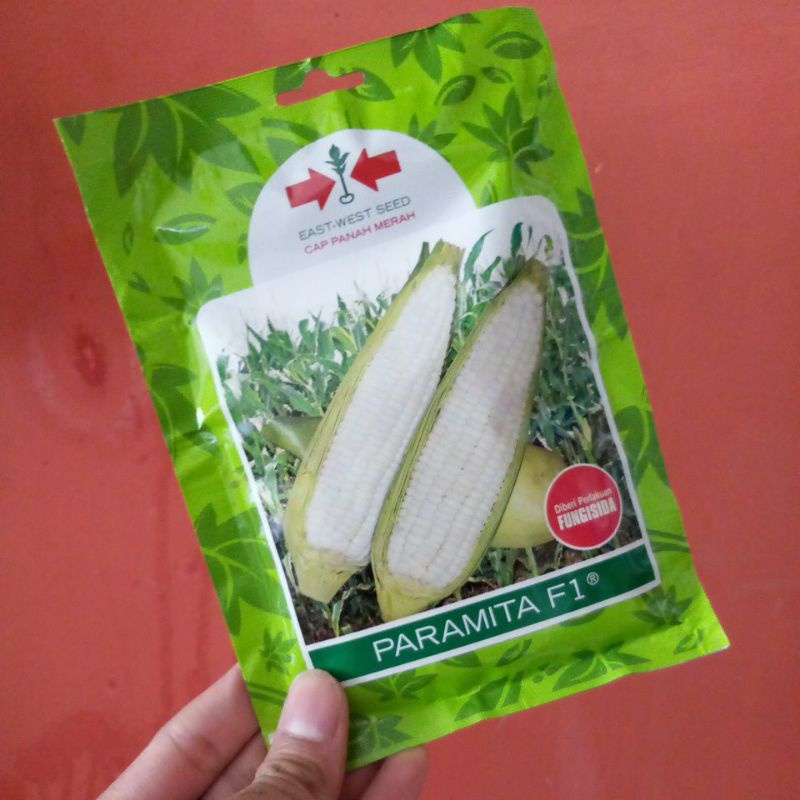

PARAMITA F1 200 Butir Benih Jagung Ketan Putih