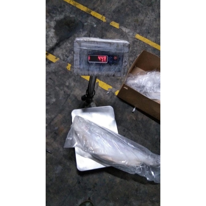 

IKAN SALMON UTUH FROZEN/ IKAN SALMON UTUH FRESH / TROUT NORWAY/ EKOR