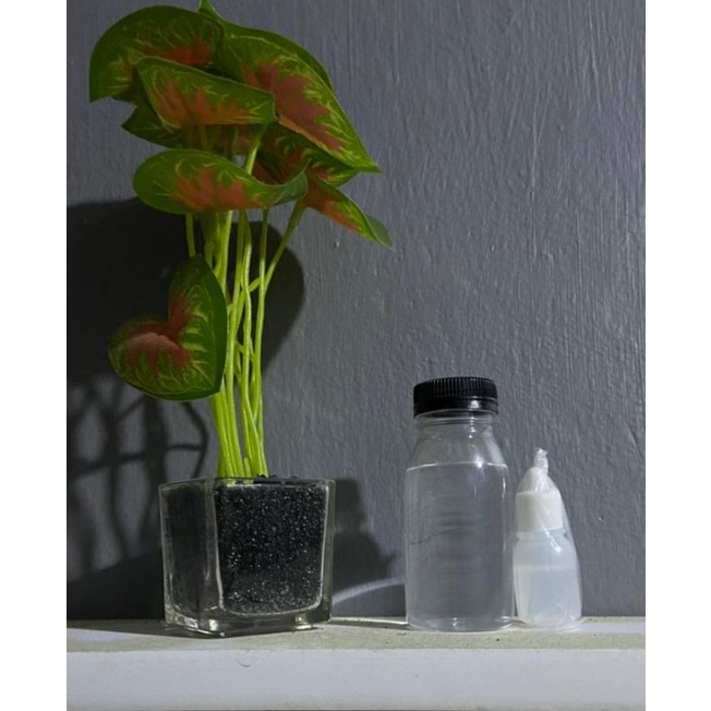 resin bening dan katalis (95gram)