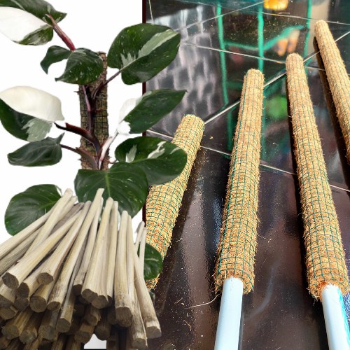 Turus Tanaman, Turus Sabut Kelapa, Turus Bambu, Turus Tanaman Hias