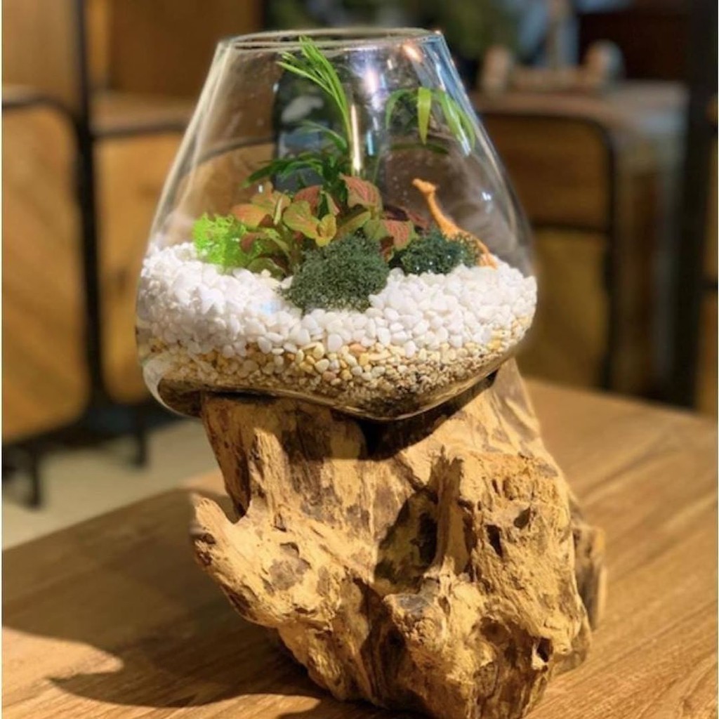 Aquarium akar kayu alam