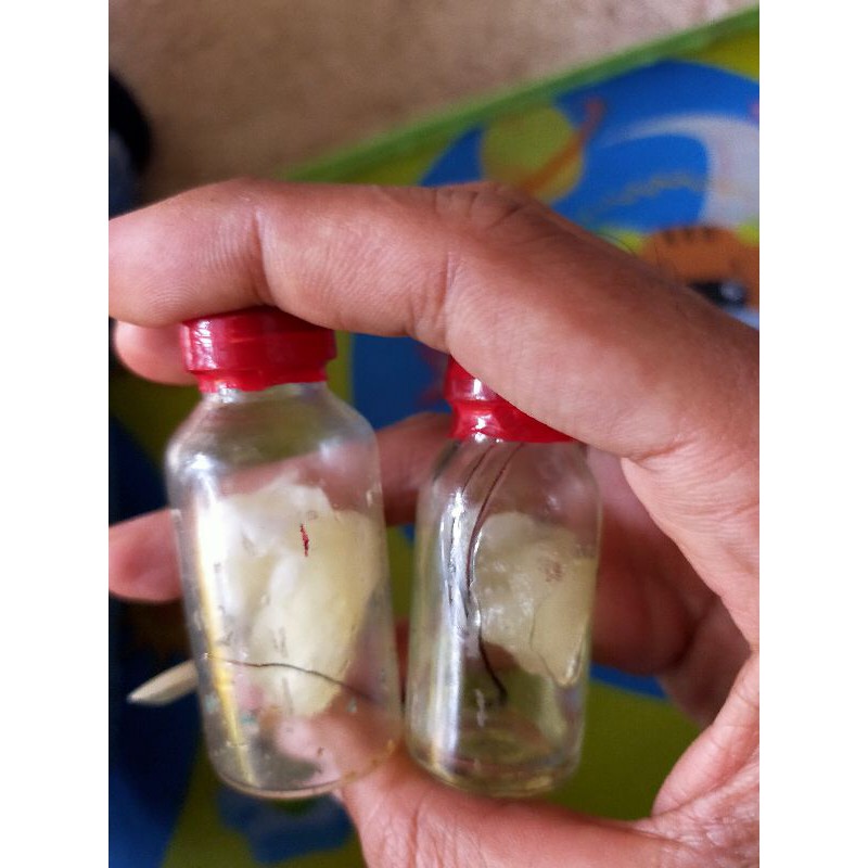 

herbal alami suku biak Numfor