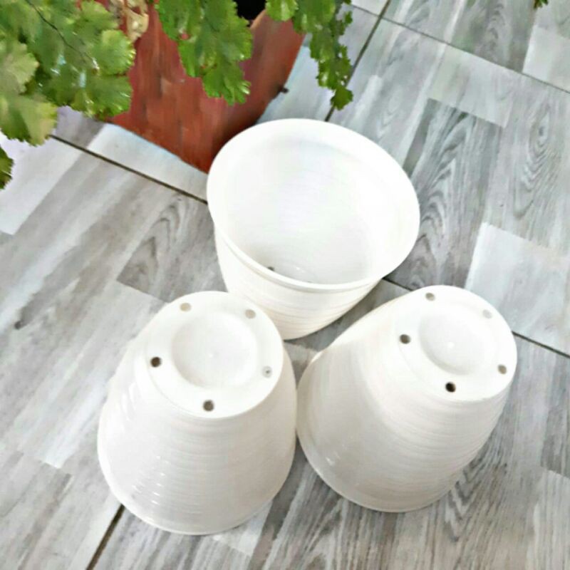 Pot Tirus 15" pot tanaman dan bunga plastik putih tawon