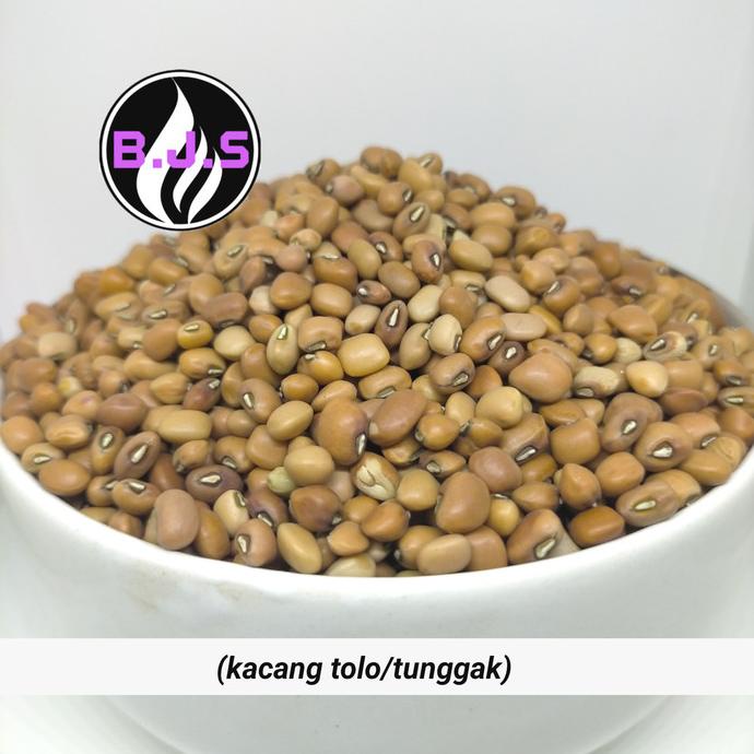 

PROMO KACANG TOLO/TUNGGAK 250GR TERBAIK