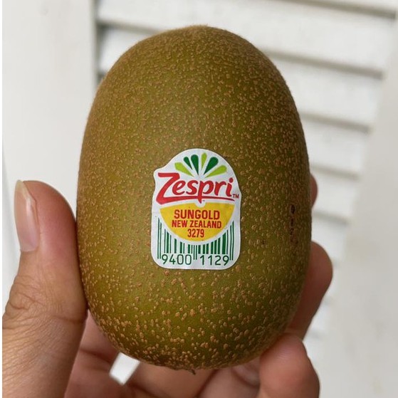 

Kiwi Gold Zespri NZ Buah Import Buah Segar
