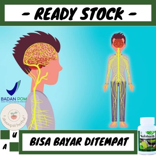 Obat Gangguan Saraf, Obat Herbal Gangguan Saraf, Obat Saraf Lemah, Sarap Lelah, Dll. - Keloreena Kap