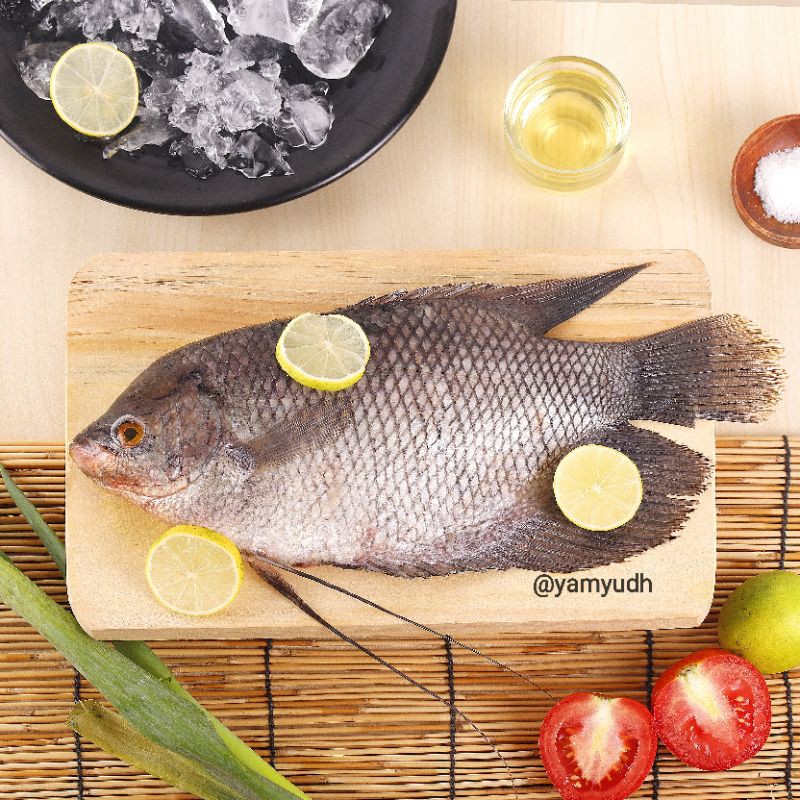 

ikan Gurame/Gurami Fresh, segaar 1kg