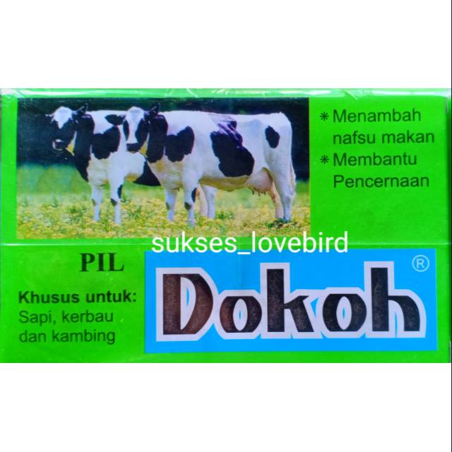Dokoh vitamin nafsu makan sapi