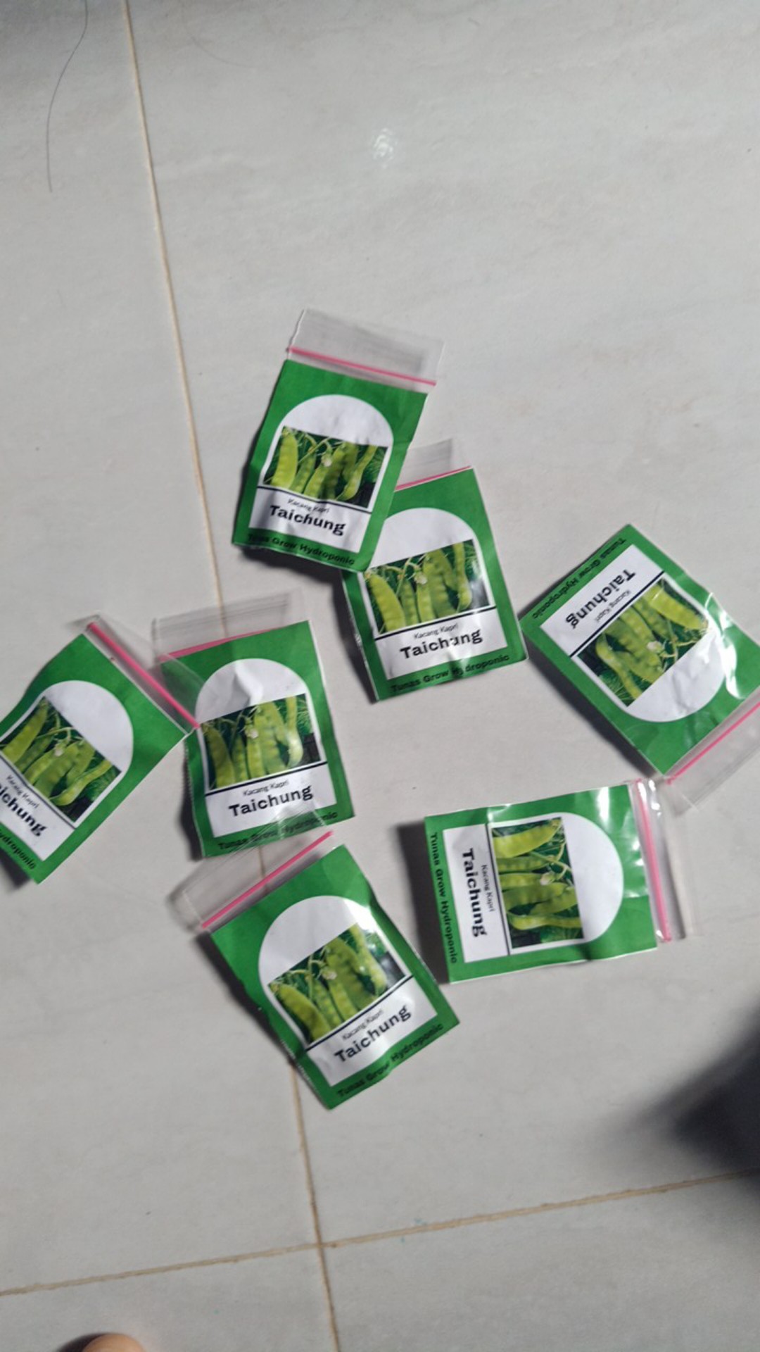 Benih Kacang Kapri Repack - 25 Biji