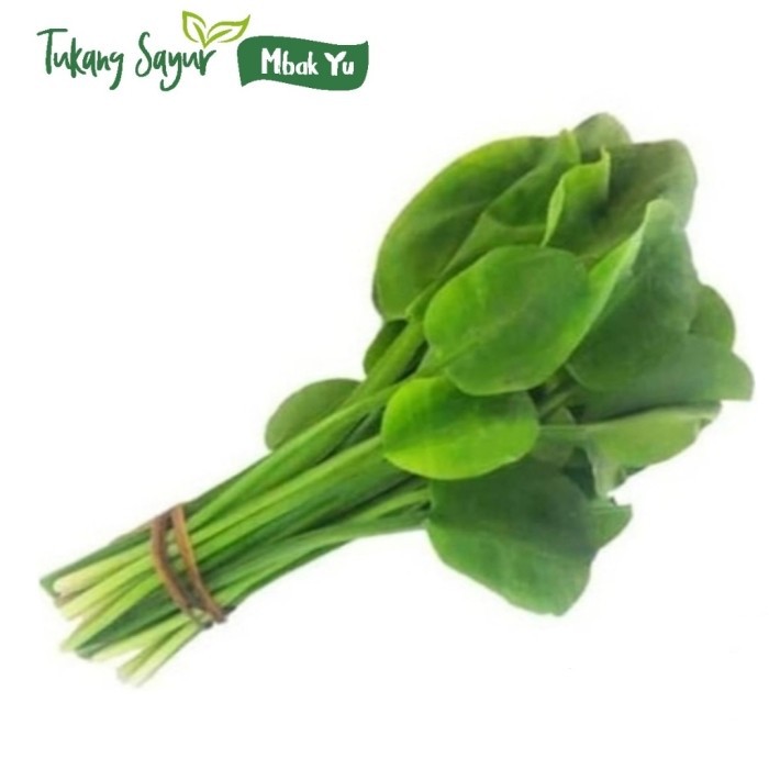 Genjer - sayur genjer 1 ikat