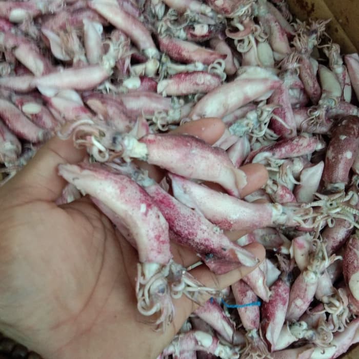 

IKAN ASIN PURWOKERTO Sotong Asin 250 Gram