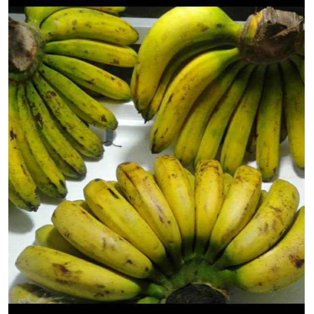 

Pisang Barangan Medan super~ size 1.2 kg up.