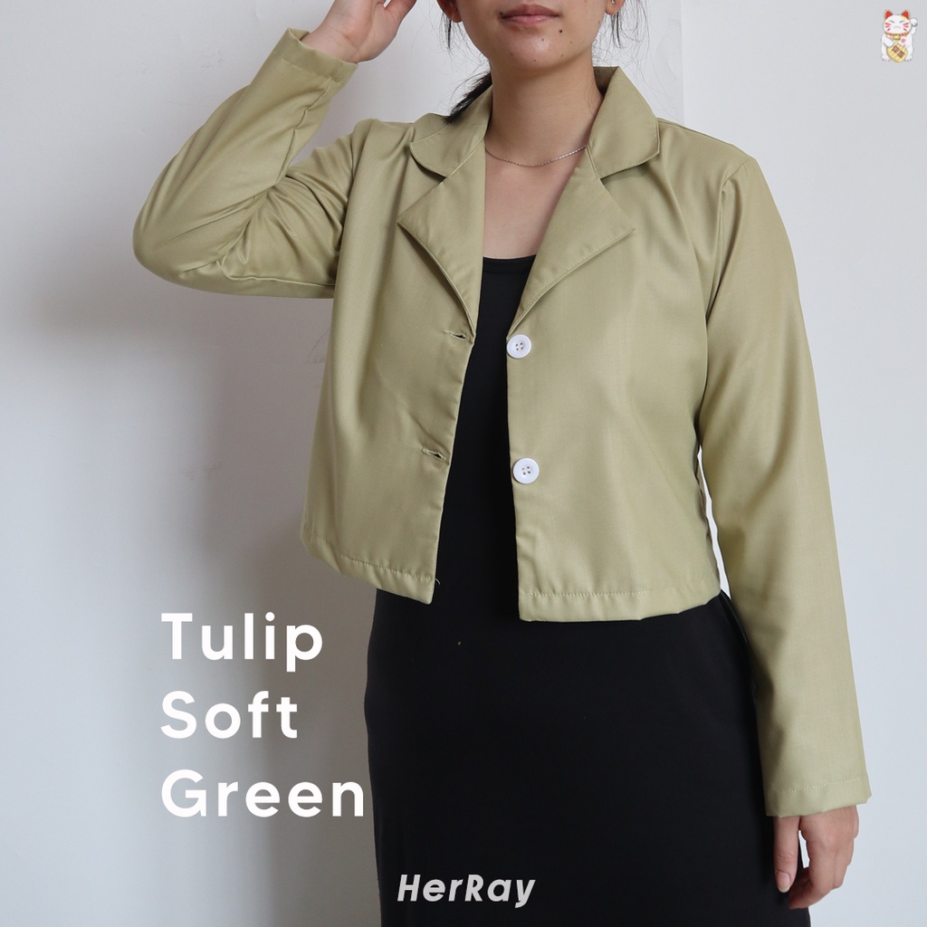 Tulip Crop Outer