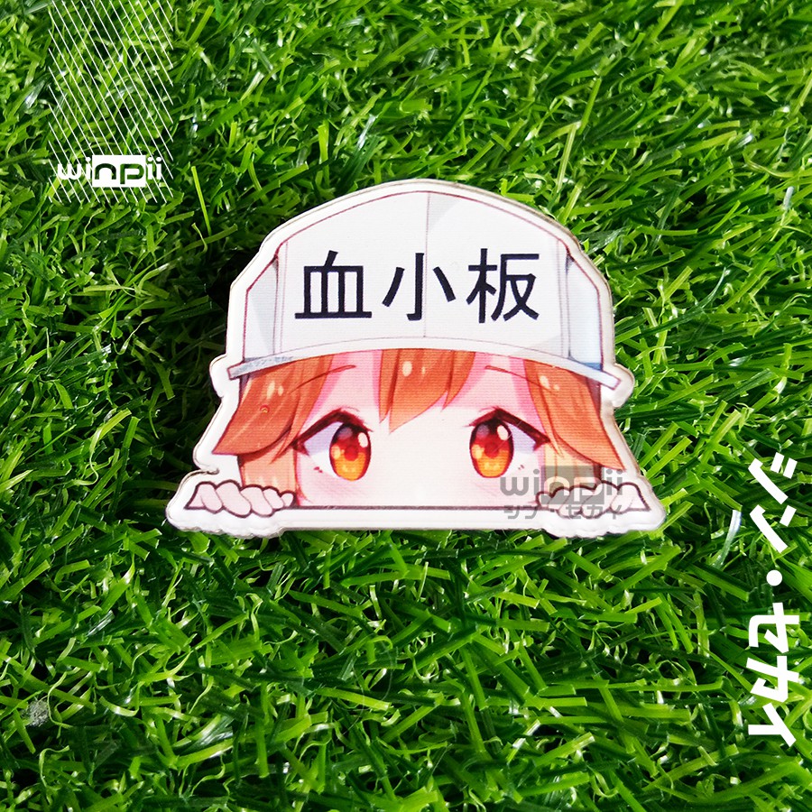Pin Akrilik Platelet Anime Hataraku Saibou