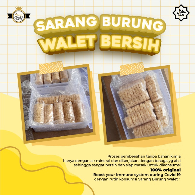 

Sarang Burung Walet Bersih Premium Quality 100%