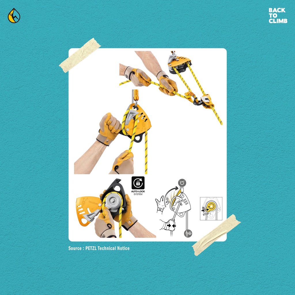 Petzl Maestro S dan L Descender Rescue Safety